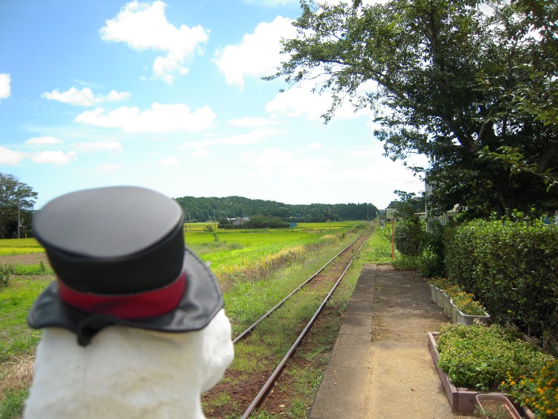 【8/8】「青春18きっぷ」で行った「いすみ鉄道」の旅　その４_b0013293_23581657.jpg