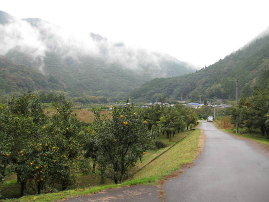 f0010195_2313423.jpg