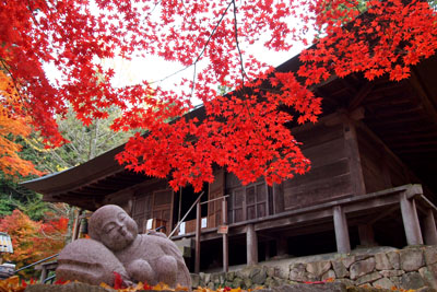 丹波紅葉巡り ~大国寺~_d0090101_20292948.jpg