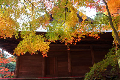 丹波紅葉巡り ~大国寺~_d0090101_20294425.jpg