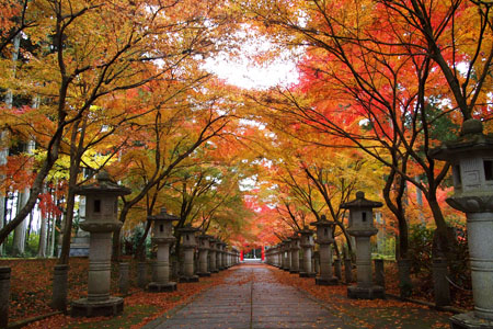 丹波紅葉巡り ~高山寺~_d0090101_20335057.jpg