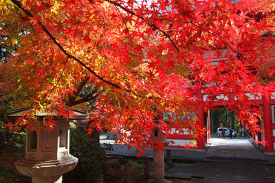 丹波紅葉巡り ~高山寺~_d0090101_20341434.jpg