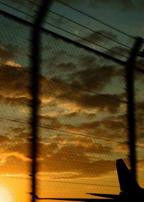c0127403_924279.jpg