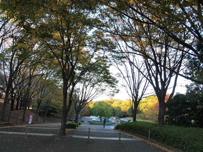 b0120108_19215255.jpg