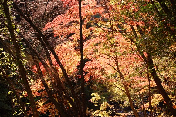 c0097309_21265643.jpg