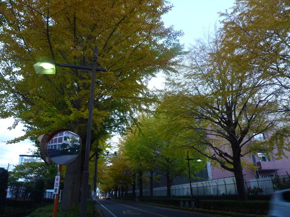 c0097309_21475881.jpg