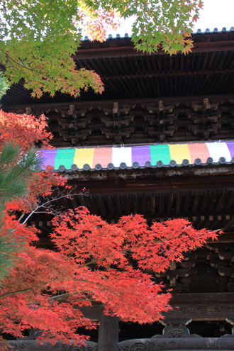 金戒光明寺「くろだにさん」_e0048413_2317129.jpg