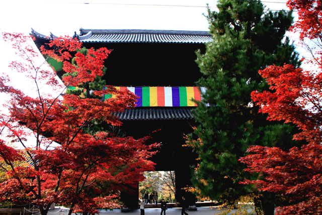 金戒光明寺「くろだにさん」_e0048413_23173138.jpg