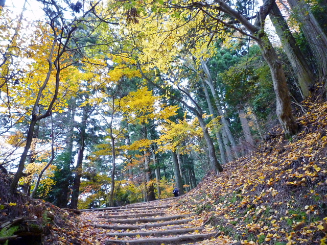 京都　嵯峨清滝　紅葉の美しい愛宕山に登りました　ＮＯ２_d0170615_18465168.jpg