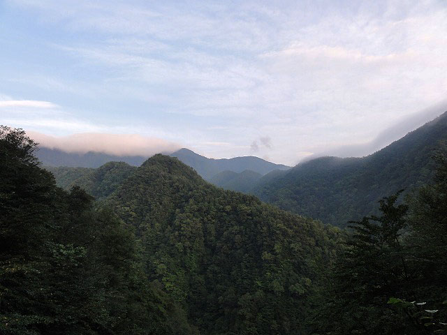 d0111124_17133033.jpg