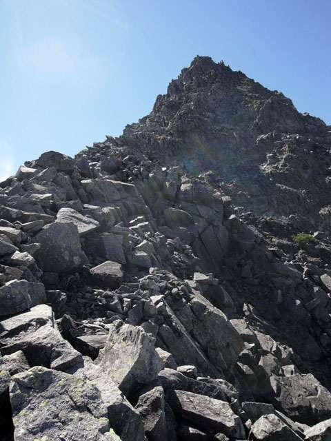 d0111124_18451569.jpg