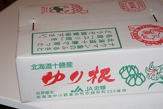 f0170524_1795920.jpg