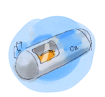 酸素カプセルは宇宙飛行士の気分_d0190828_1850337.gif