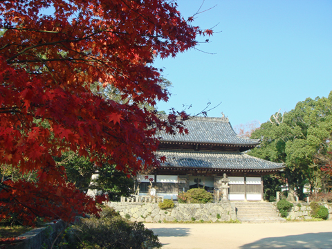 太宰府周辺の紅葉散策_a0129233_18100100.jpg