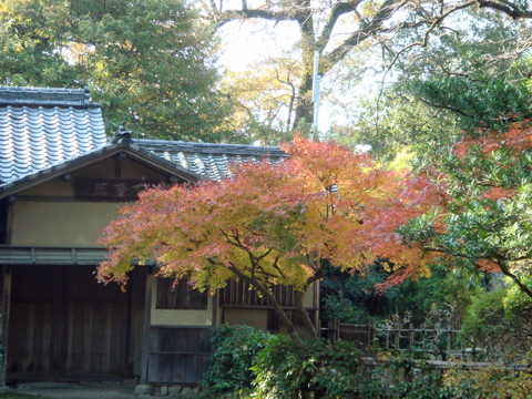 太宰府周辺の紅葉散策_a0129233_18104256.jpg