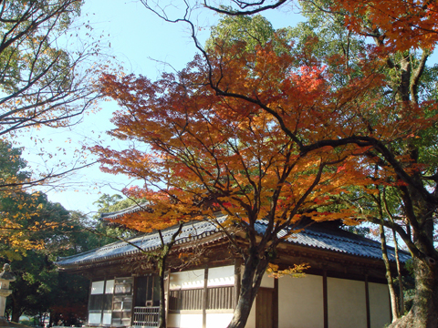 太宰府周辺の紅葉散策_a0129233_18115736.jpg
