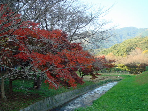 太宰府周辺の紅葉散策_a0129233_18155197.jpg