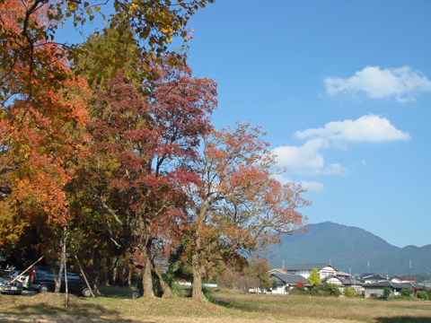 太宰府周辺の紅葉散策_a0129233_189149.jpg