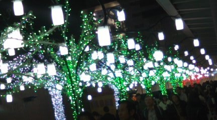 e0200734_91344.jpg