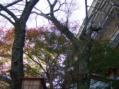 f0112434_1645713.jpg