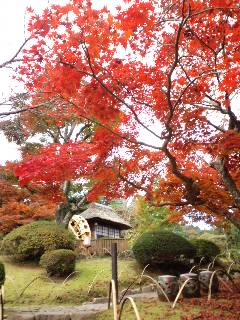 富士屋ホテル。_b0025439_10411442.jpg