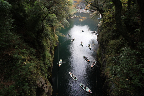 c0015639_13305522.jpg