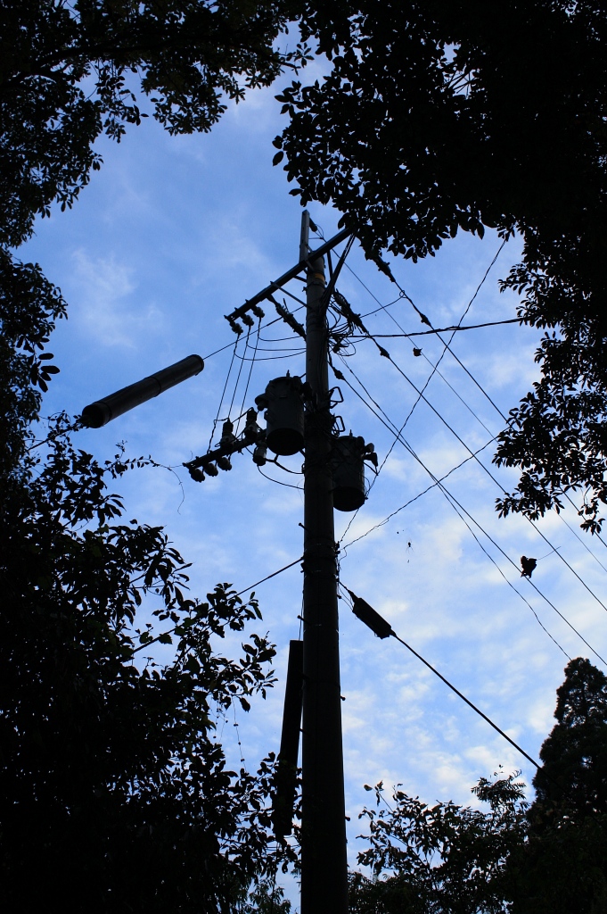 a0133142_20131976.jpg