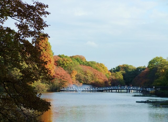 井の頭公園散歩　２_e0206242_11345230.jpg