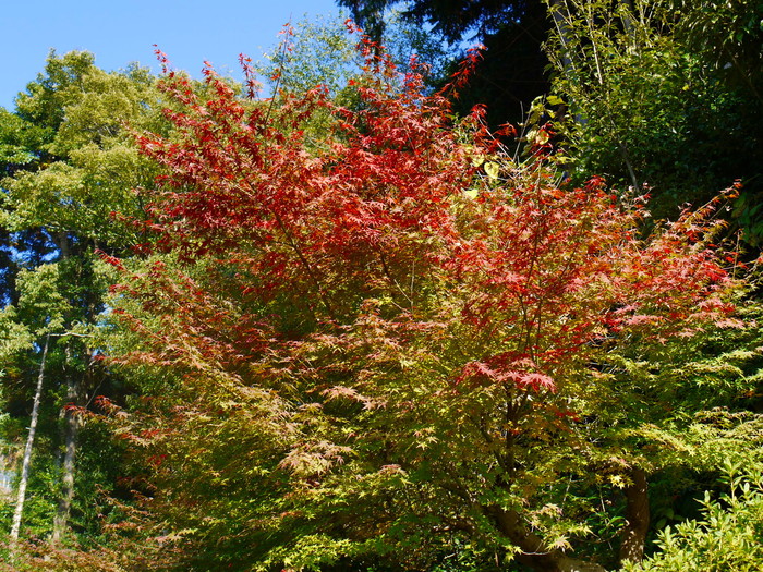 f0206452_14503279.jpg