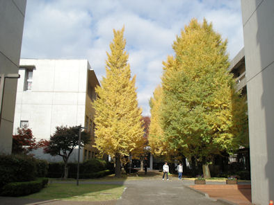 d0059661_2340543.jpg