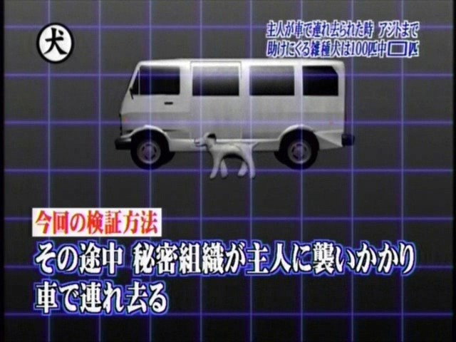 おき動普及委員会 会報vol 93 トリビアの泉 主人が連れ去られたら雑種犬は Robita Lab