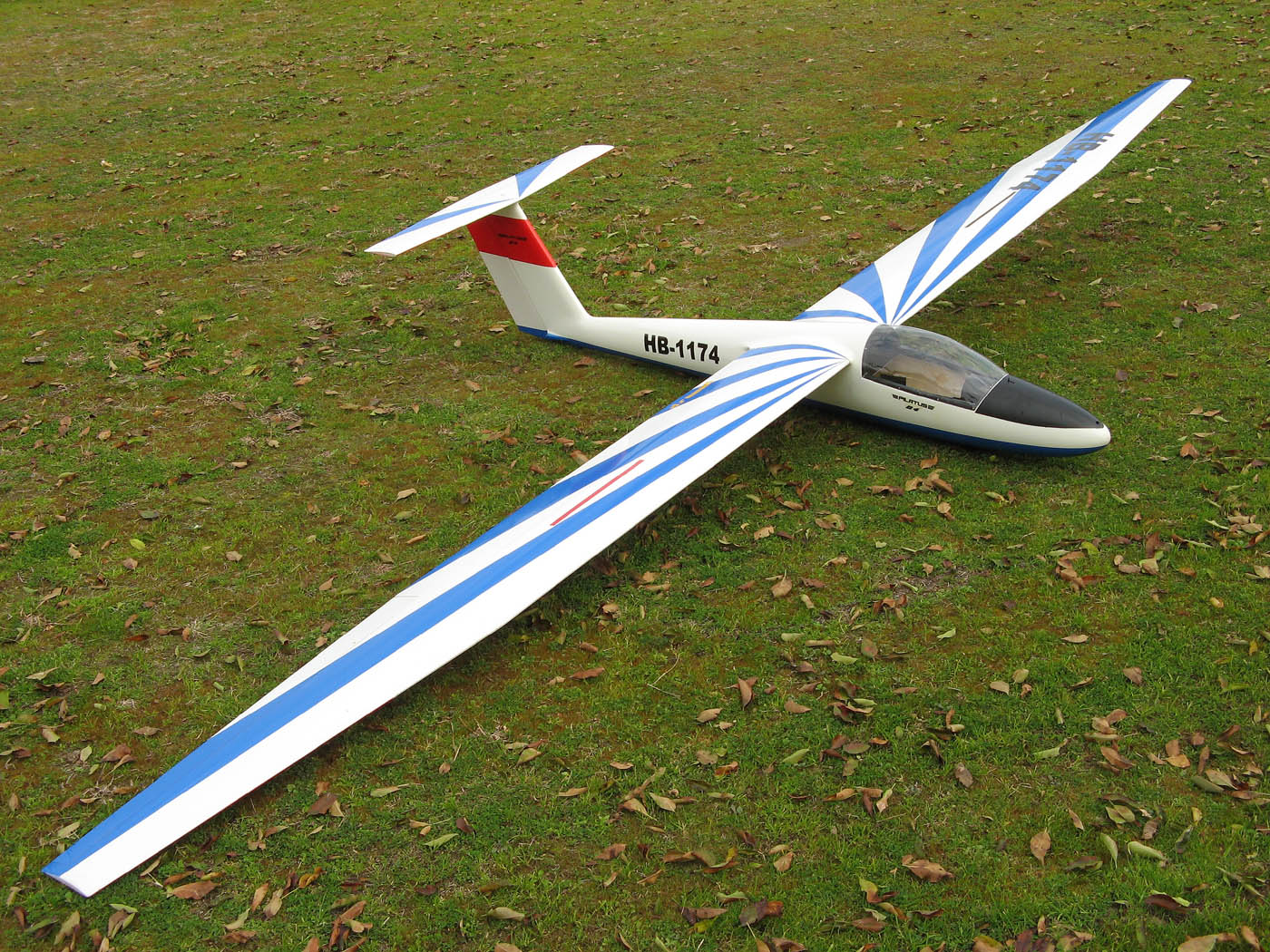 20101120 PILATUS B4 1/4 3.75m : RCグライダー 自然の偉大な 20101120 PILATUS B4 1/4 3.75m : RCグライダー 自然の偉大な