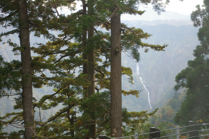 立山貫通！東大社銚子神幸祭追跡取材の旅⑤まさに霊山_c0014967_21415497.jpg