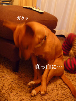 f0238772_2385352.jpg