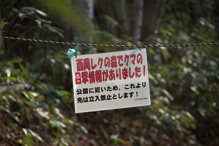 e0213873_2025369.jpg