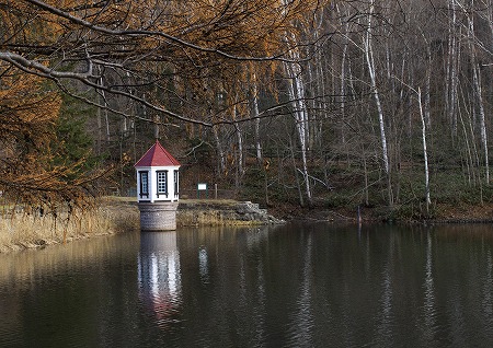 e0213873_2031647.jpg