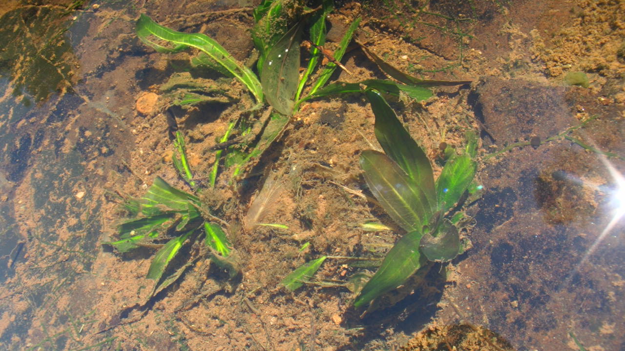 AZ1110-8_a0067578_7394819.jpg