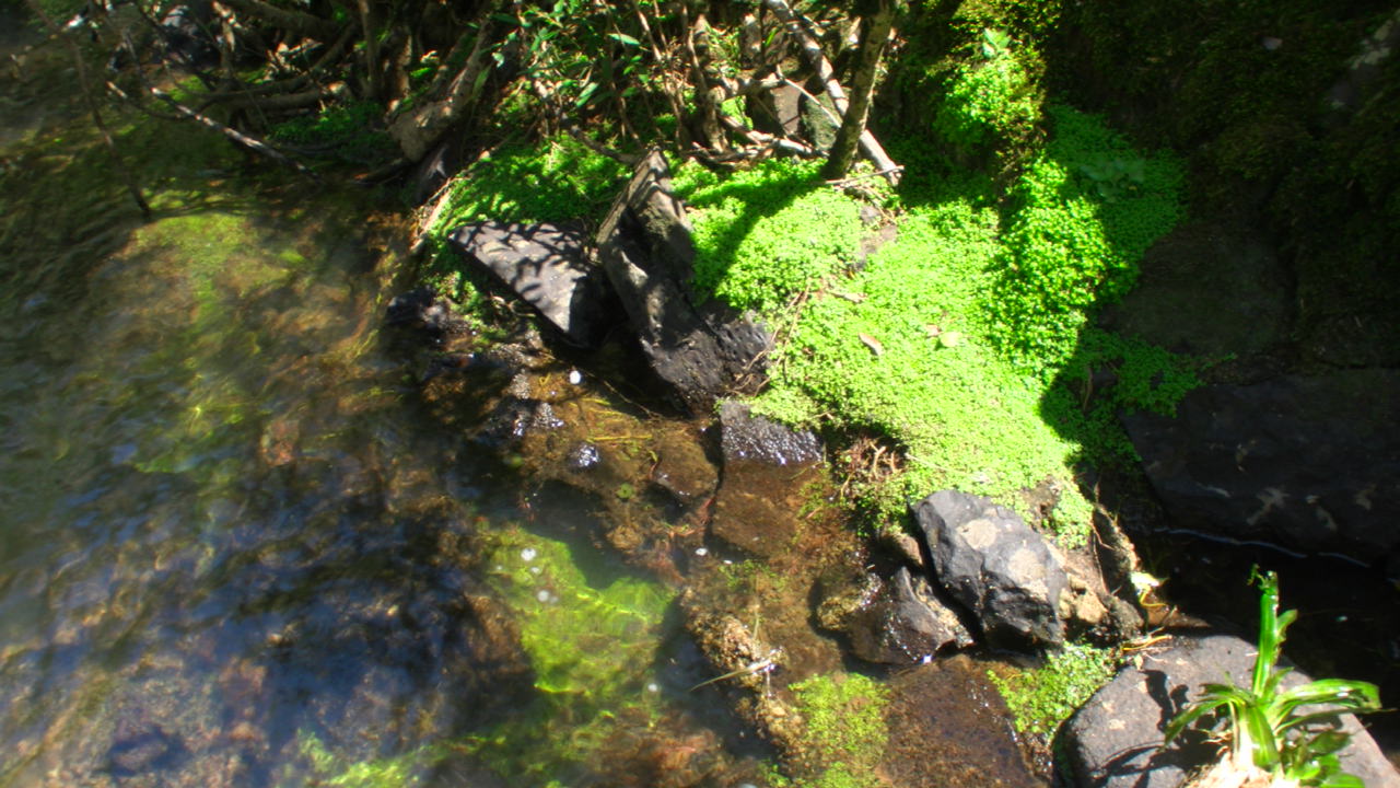 AZ1110-8_a0067578_7402512.jpg
