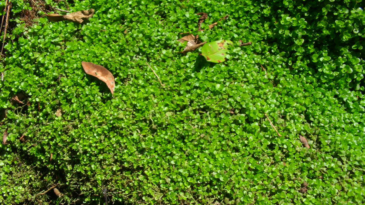 AZ1110-8_a0067578_7405627.jpg