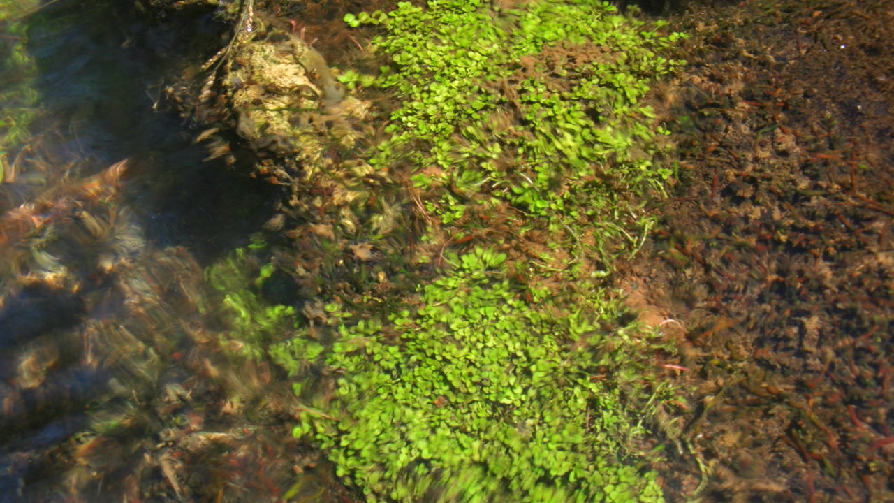 AZ1110-8_a0067578_7412665.jpg