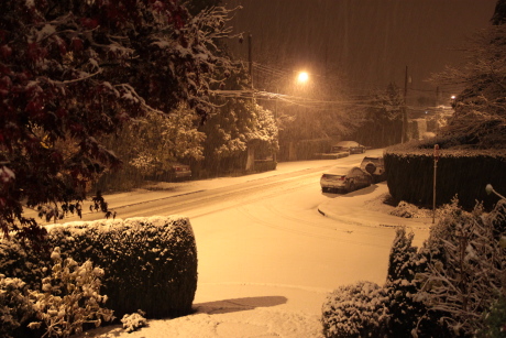 雪!_d0129786_18435494.jpg