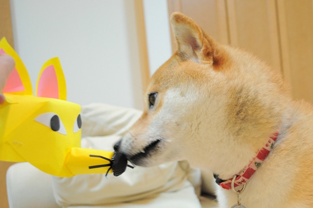 お尻に火がついた!_a0126590_4263115.jpg