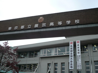 a0147890_924119.jpg