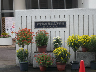 a0147890_924166.jpg