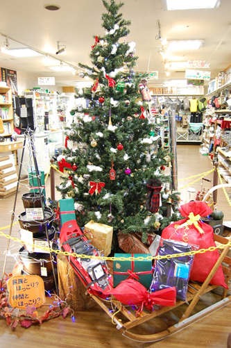 １Fディスプレイ