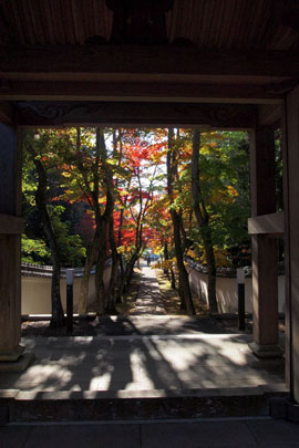 播磨の紅葉巡り~慈眼寺~_d0090101_16545492.jpg