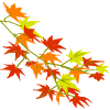 c0047605_083145.gif