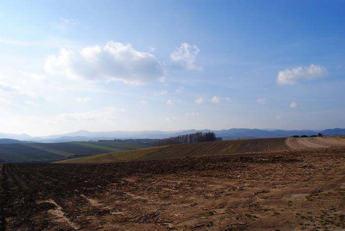 d0160307_18572267.jpg