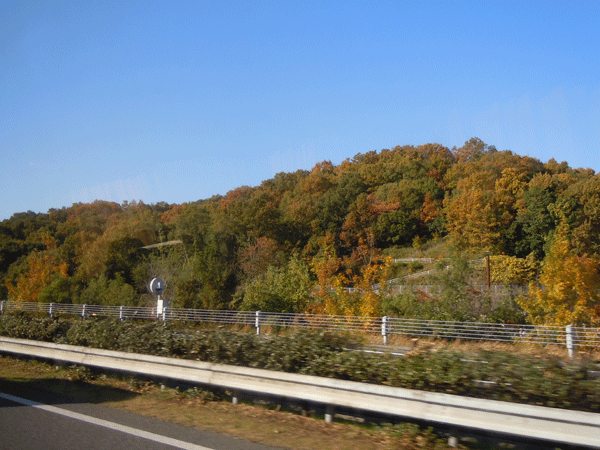b0159611_043018.gif