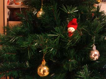 我が家のクリスマスツリー_a0166313_20161442.jpg